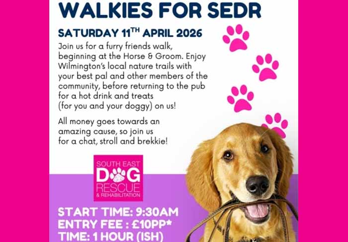 Dog Friendly Kent Weekend Guide 11 April 2026 12 April 2026