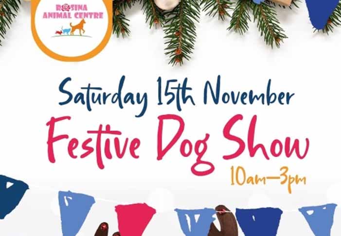 Dog Friendly Kent Weekend Guide 15 November 2025 16 November 2025