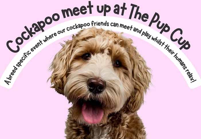 Dog Friendly Kent Weekend Guide 17 January 2026 18 January 2026