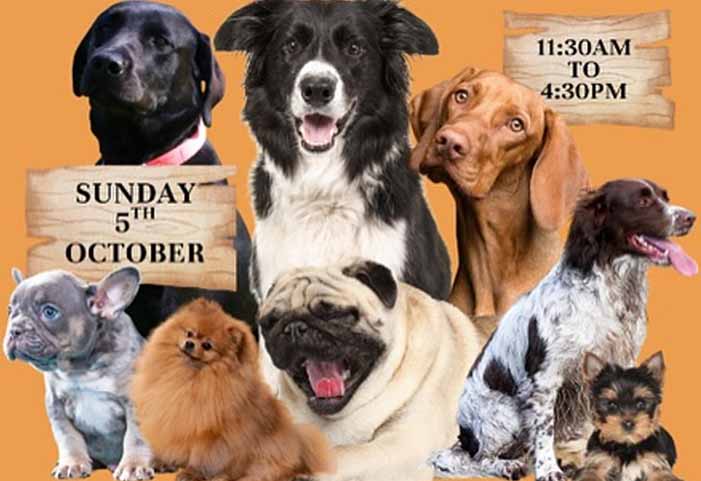 Dog Friendly Kent Weekend Guide 11 October 2025 12 October 2025