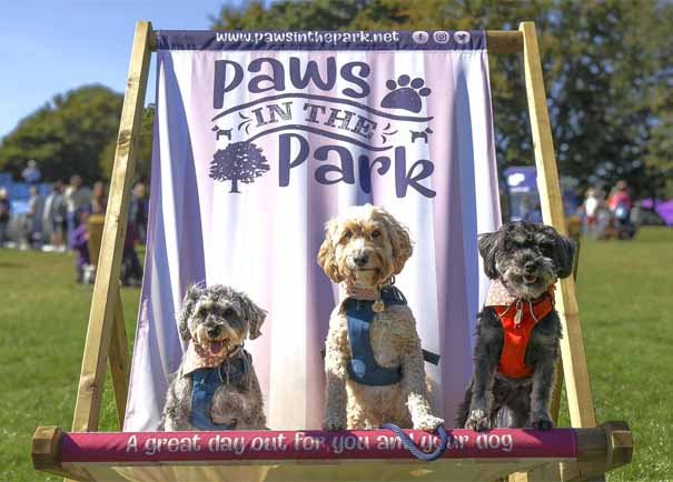 Doggy Whats On Kent Calendar