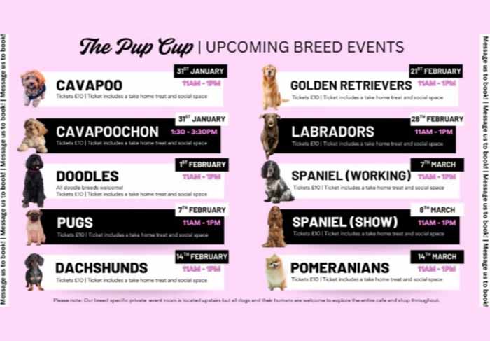 Dog Friendly Kent Weekend Guide 07 March 2026 08 March 2026