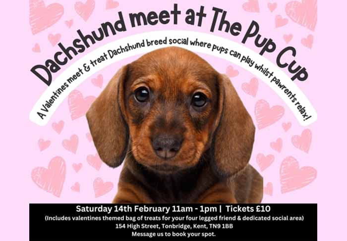 Dog Friendly Kent Weekend Guide 14 February 2026 15 February 2026