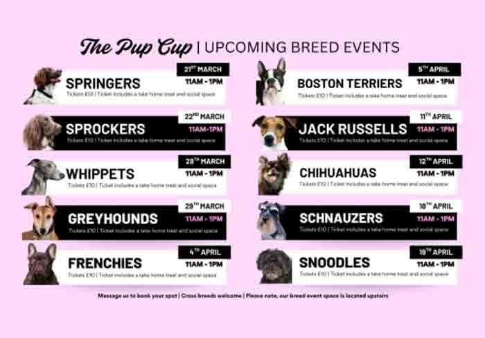 Dog Friendly Kent Weekend Guide 18 April 2026 19 April 2026