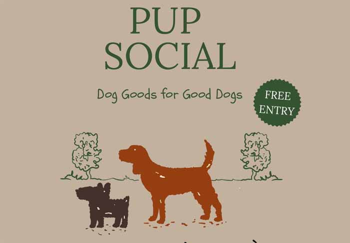 Dog Friendly Kent Weekend Guide 9th August and 10th August 2025