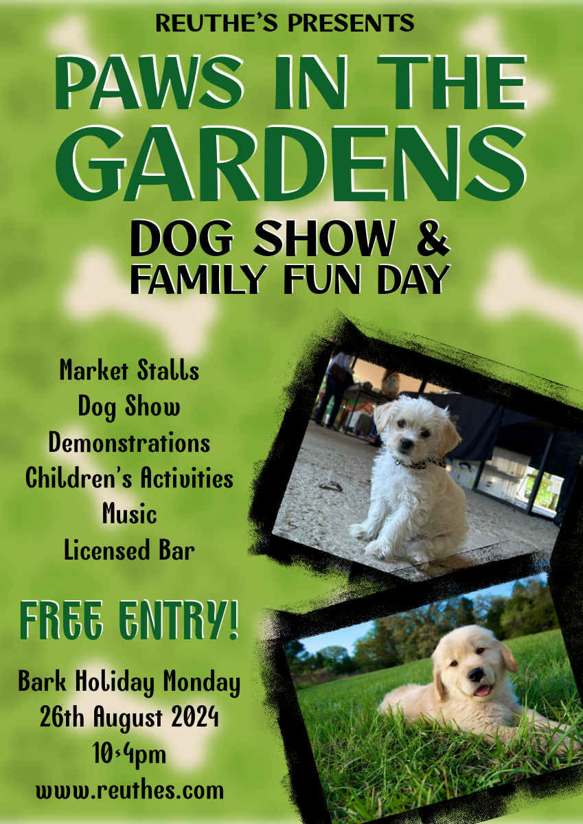 Whats On for Dogs Kent, Doggy What's On Kent Dog Advisor Kent