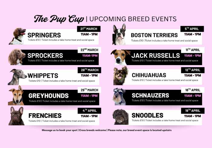 Dog Friendly Kent Weekend Guide 28 March 2026 29 March 2026