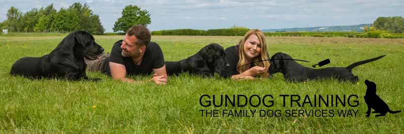 Gun Dog Trainers Puppy Foundations Behaviour Modification Maidstone Kent Family Dog Services