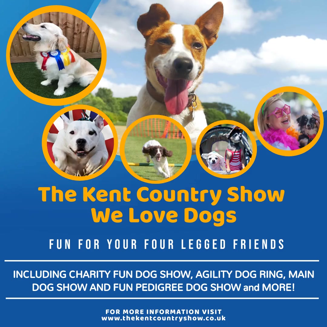 Whats On for Dogs Kent, Doggy What's On Kent Dog Advisor Kent