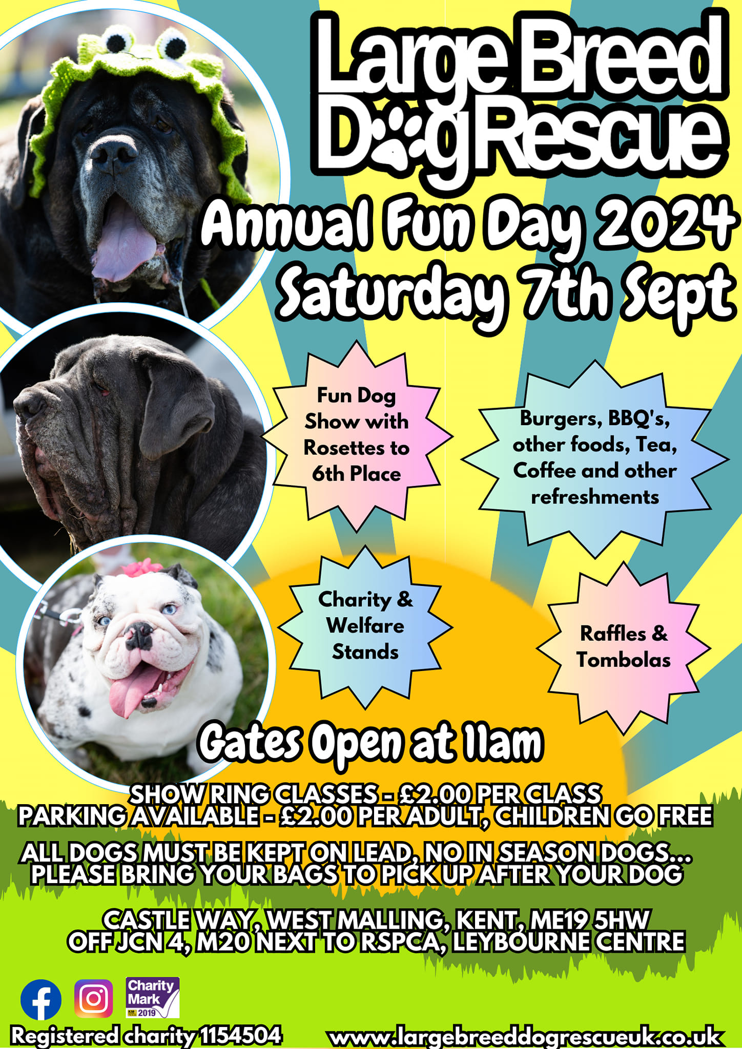 Whats On for Dogs Kent, Doggy What's On Kent Dog Advisor Kent