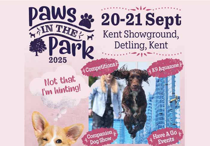 Dog Friendly Kent Weekend Guide 20 September 2025 21 September 2025