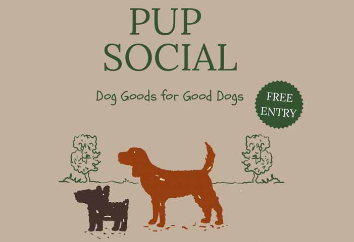 Dog Friendly Kent Weekend Guide 18 October 2025 19 October 2025