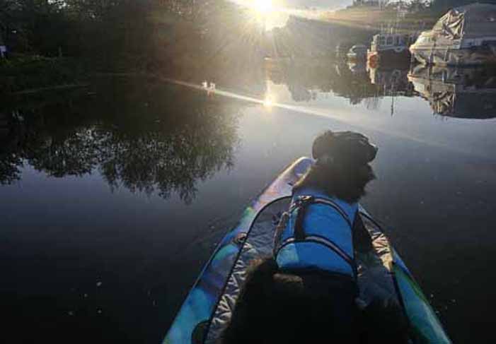 Dog Friendly Kent Weekend Guide August September 2025